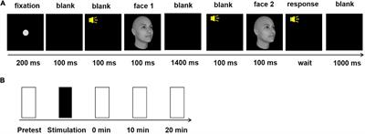 Effects of High-Definition Transcranial Direct Current Stimulation Over the Left Fusiform Face Area on Face View Discrimination Depend on the Individual Baseline Performance